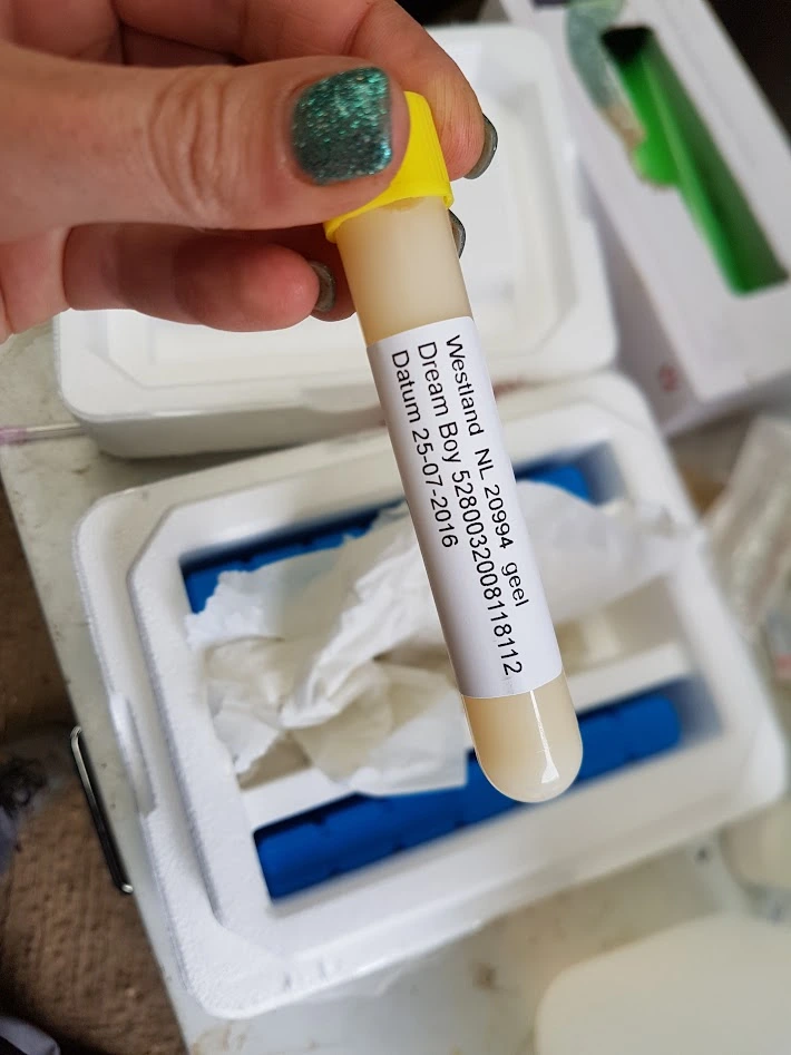 Lab result